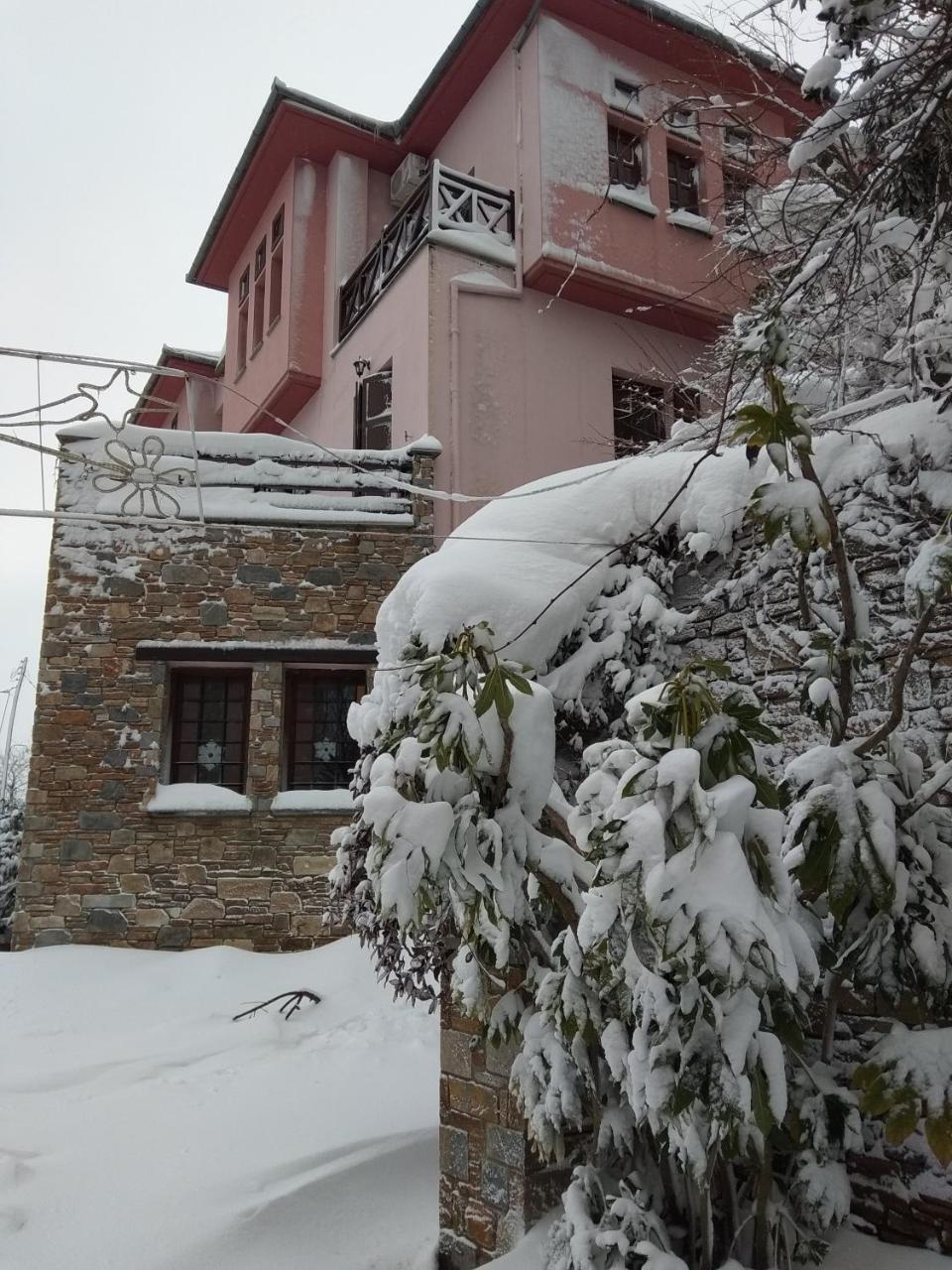Guesthouse Iris Tsagkarada Buitenkant foto